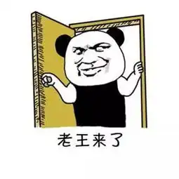  熊猫头开门表情包儿子,你爸我来看你了