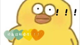  我的笑点应该很高,恍恍惚惚红红火火哈哈