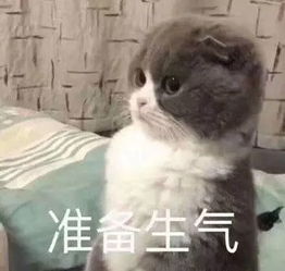 从不秀恩爱的男友,在朋友圈晒别的小姐姐美照,应该剐了下锅吗