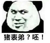 啊呸表情包熊猫