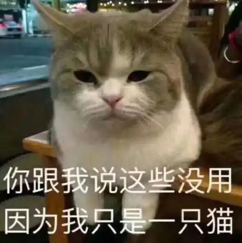  搞笑gif趣图大学时宿舍一姐妹吃减肥餐,有一餐的食谱上要求吃一片肉
