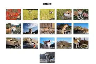 柴犬斜眼表情包一路走好