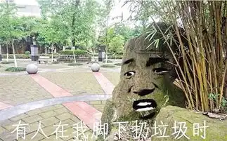  高校石头表情包走红这个创意网友给100分