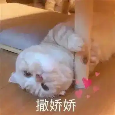  久等了的国产主罐评测,打工人福音