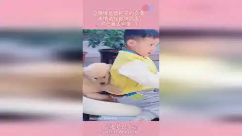  这俩得是拜把子的交情,表情动作都神同步,这一幕太可爱了
