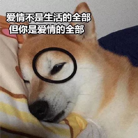  狗都比你会说情话