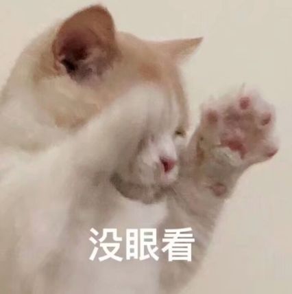  男子夜间寻狗掉入深坑,发现狗原来也在坑里,缘分啊
