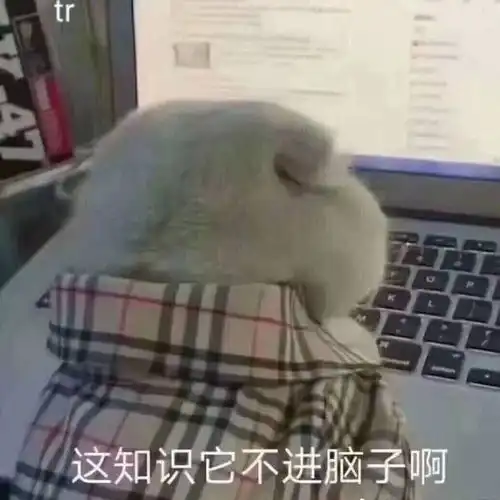  期末考试复习表情包,派送