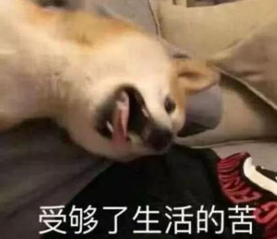  杨超越做梦也没想到,曾当色情女主播的黑历史会被自家粉爆出