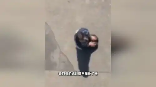  遛狗不牵绳,狗狗被汽车碾压身亡女司机跪地道歉祈求原谅