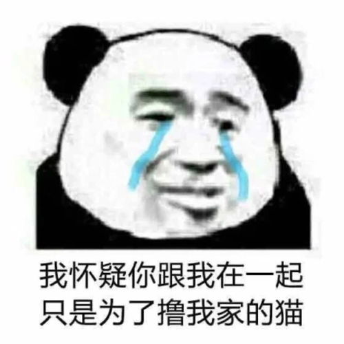  沙雕表情包l你欠骂吗