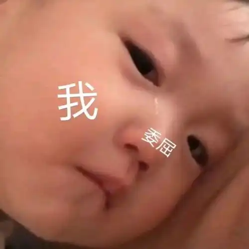  表情包