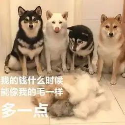  双十一钱花完了,表情包倒是多了不少,买家秀真的太逗了,哈哈哈哈哈哈哈哈哈哈哈哈哈哈哈哈哈哈哈哈哈