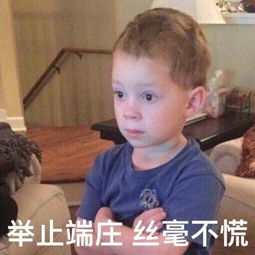  车收藏夹