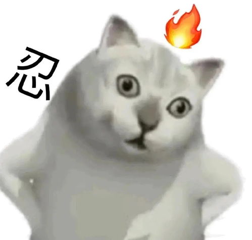  肯豆街拍私服不断更新,放下手中...