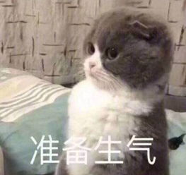  一波怼人的表情包,适合吵架用