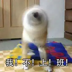  qq摇头表情包