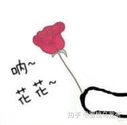 花花送给你表情包百色市