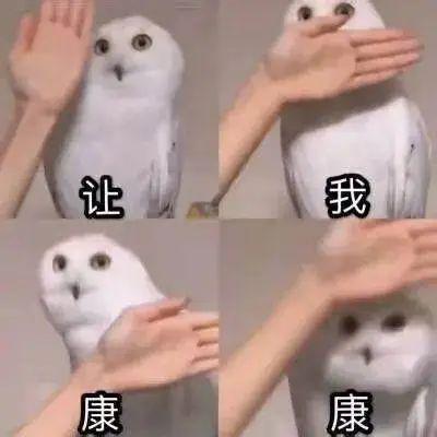  多活40改善认知减缓疼痛,这个吃瓜益寿的瓜你不能错过