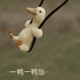  一鸭一鸭悠
