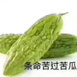  送你一组向社会低头表情包,比苦瓜还苦,就是现在的我