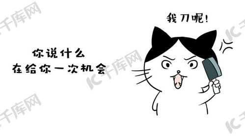  小猫生气拿刀表情包卡通配图海报模板下载千库网