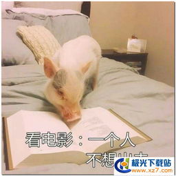  你不想出门的理由表情包下载你不想出门的理由系列表情包高清无水印极光下载站