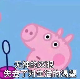  送你一整套佩奇的表情包