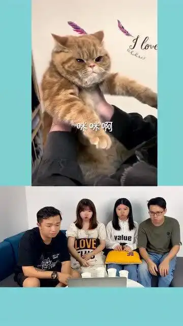  憋笑大挑战,这个惊喜来的真是猝不及防,把人都吓出表情包