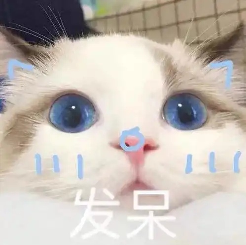 2020年6月润物志征稿啦  2020年6月润物志征稿啦