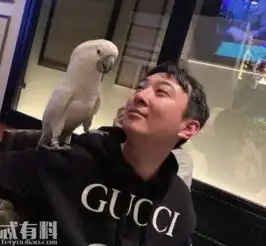 继吃热狗之后王思聪又被拍到吃玉米,他的表情包也是自成一派 继吃热狗之后王思聪又被拍到吃玉米,他的表情包也是自成一派