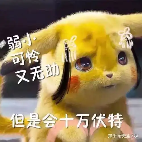  你们收到过最奇葩的快递是什么