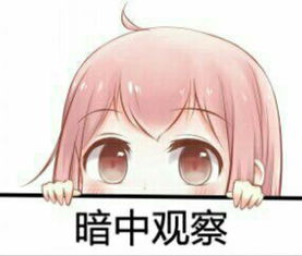  2个小逗比的快乐游戏酱紫咋办捏哔哩哔哩直播