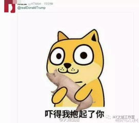  要说有才,得看中国网友,要说霸气,得看外交部华姐