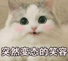  如何找到警察男朋友