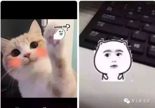 双人贴贴表情包贴图