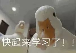 对不起鸭的表情包个事