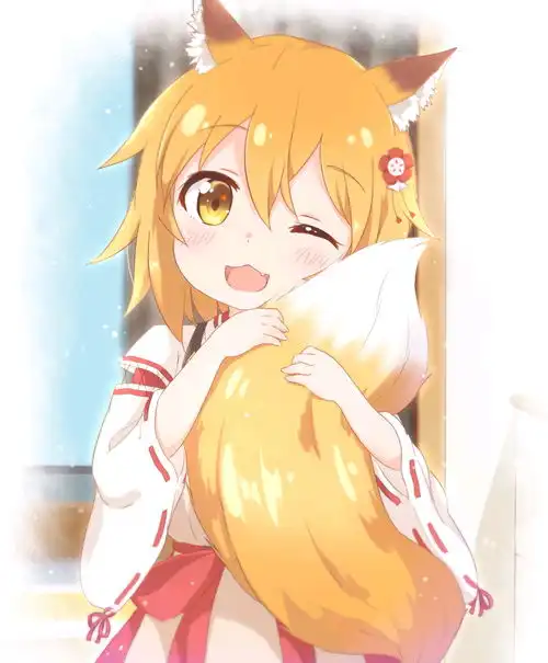  二次元系列