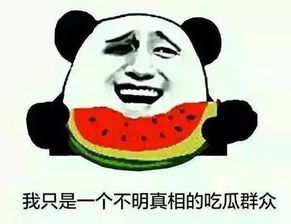  趣闻2016爆红的表情包流行语关键词,用英语如何表达
