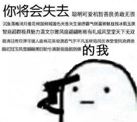 我要失去你了表情包眉毛