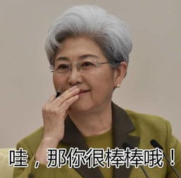  为外交女神傅莹点赞还活捉一枚行走的表情包