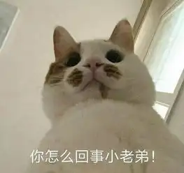 在线表情包沙雕大叫