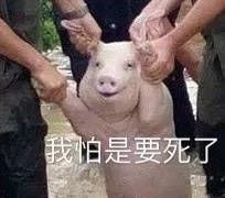  十一躺着享受才是正道良泰足道免费洗jio足浴按摩来一套,爽到嗷嗷叫