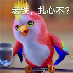  扎心了嫌弃场地太烂,内维尔拒绝上场比赛