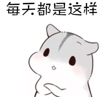  这到底是个什么神奇仪式哈哈哈哈
