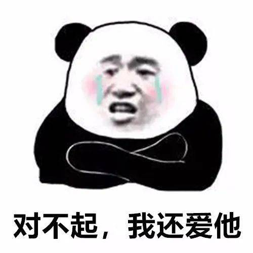  熊猫头表情包你是个好人我配不上你