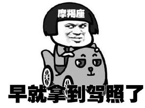 让我摸摸你的表情包十二