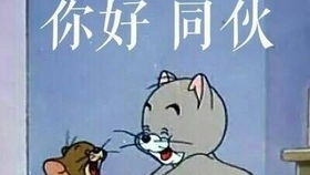  助攻团齐上线来一波懂一波,看破不说破