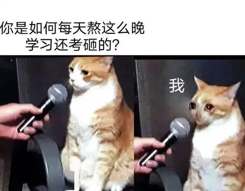  考试表情包