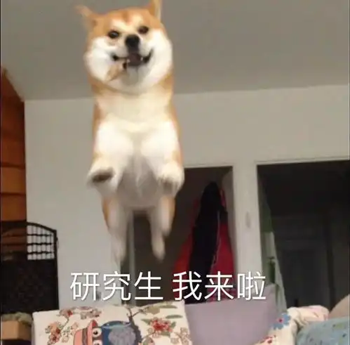  考研复试面试中这些回答最拉分千万不能随意说